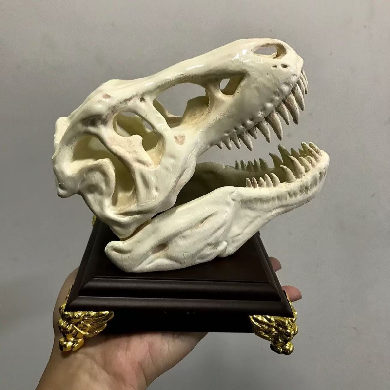 3D Printing Enthusiast - Modelo de Cráneo de Tiranosaurio Rex