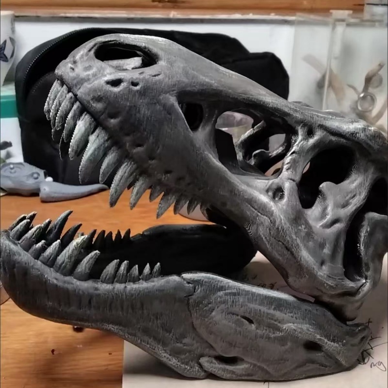 Modelo de Cráneo de Tiranosaur - 3D Printing Enthusiast reseña y precio