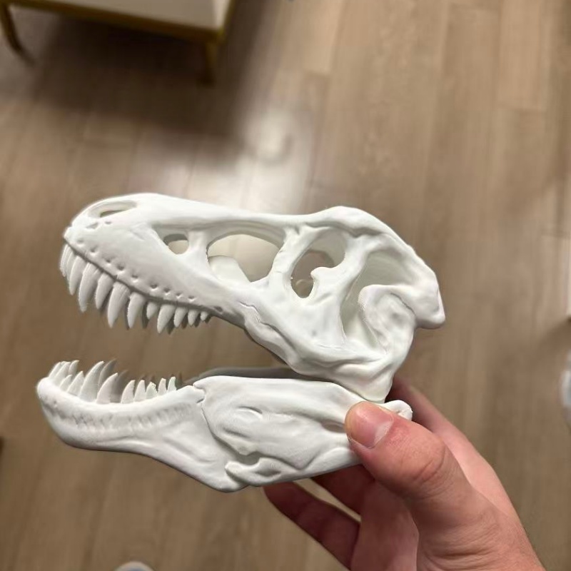 Modelo de Cráneo de Tiranosaur - 3D Printing Enthusiast reseña y precio