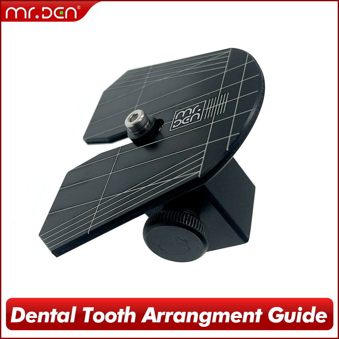 2026 MR DEN Guía digital de di - 3D Printing Tooth reseña y precio